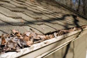 Hydro-Max Power Washing: The Best Choice for Gutter Cleaning