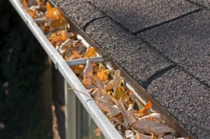 Clean Gutters for Fall